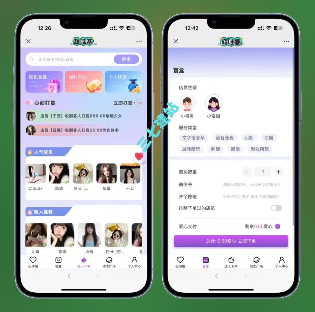 树洞开源白桔V2语聊陪玩系统源码