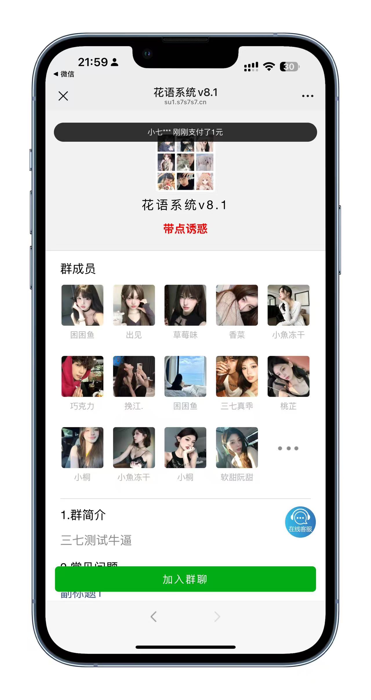 五模板花语正版授权付费群（炮灰域名）